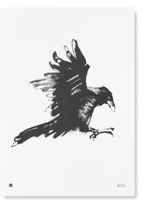 Teemu Järvi Poszter holló motívummal – Raven, 50x70 cm