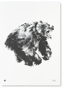 Teemu Järvi Poszter medve motívummal – Roaring Bear, 50x70 cm