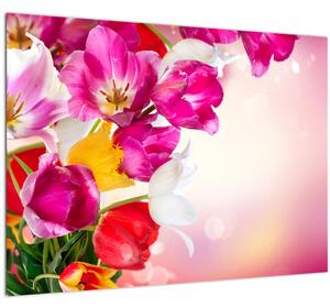 Tulipán képe (üvegen) (70x50 cm)