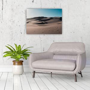 Kép - A sivatagból (70x50 cm)