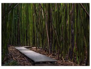 Kép - A bambuszok között (70x50 cm)