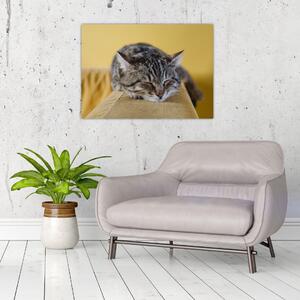 Macska a kanapén képe (70x50 cm)