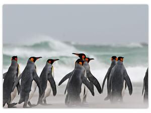 Pingvinek képe az óceán mellett (70x50 cm)