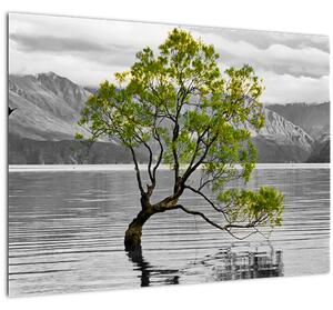 Fa képe a tó közepén (üvegen) (70x50 cm)