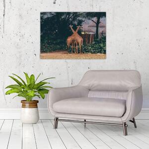 Két zsiráf képe (70x50 cm)