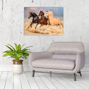 Kép - Vad lovak (70x50 cm)