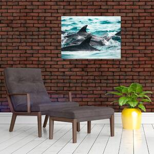 Kép - Delfinek az óceánban (70x50 cm)