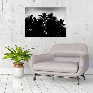 A fekete-fehér pálmafák képe (70x50 cm)