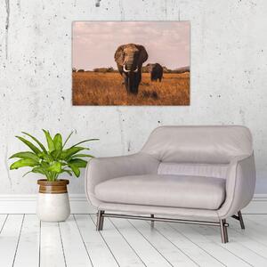 Kép - Az elefánt érkezése (70x50 cm)