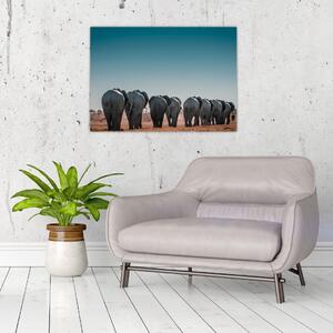 Kép - Elefántok indulása (70x50 cm)