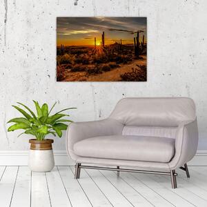 Kép - A nap vége az arizonai sivatagban (70x50 cm)