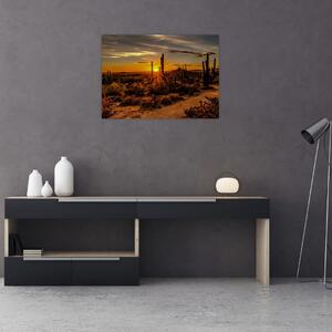 Kép - A nap vége az arizonai sivatagban (70x50 cm)