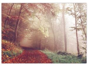 Kép - Őszi séta az erdőben (70x50 cm)