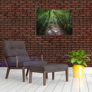 Kép - Napsugarak a dzsungelben (70x50 cm)