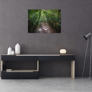 Kép - Napsugarak a dzsungelben (70x50 cm)