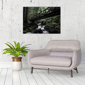 Fekete erdő képe (70x50 cm)