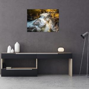 Kép - Erdei patak (70x50 cm)
