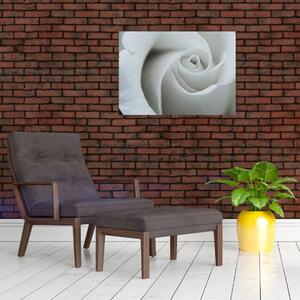 Kép - Fehér rózsa (üvegen) (70x50 cm)