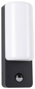 Paulmann Bonnie PIR Insect LED-es kültéri fali lámpa LED 8.5 W Antracit (94853)