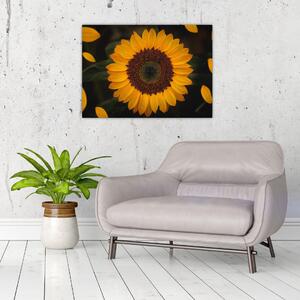 Kép - Napraforgók és a virágszirmok (70x50 cm)