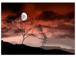 Kép - Hold megvilágítja az éjszakát (70x50 cm)