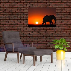 Elefánt képe naplementekor (70x50 cm)
