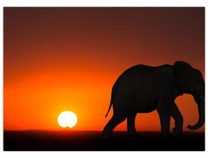 Elefánt képe naplementekor (70x50 cm)