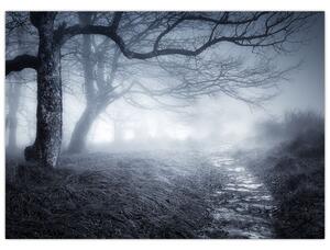 Kép - Út a ködben (70x50 cm)