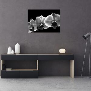 Egy orchidea virág képe (70x50 cm)