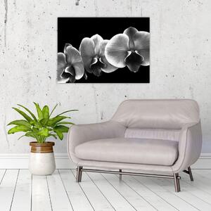 Egy orchidea virág képe (70x50 cm)