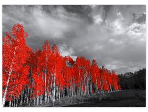 Kép - fák őszi színben (70x50 cm)