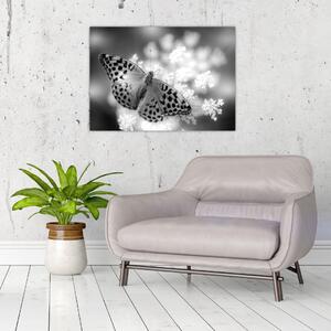 Kép - Részlet egy virágot beporzó pillangóról (70x50 cm)