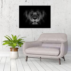 Kép - Az oroszlán és felsége (70x50 cm)