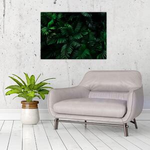 Kép - trópusi páfrány (70x50 cm)