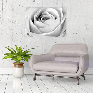 Kép - Rózsa virág részlete (70x50 cm)