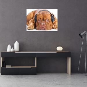 Kép egy kutya fejhallgatóval (70x50 cm)