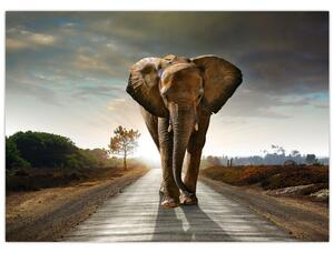 Elefánt képe (70x50 cm)