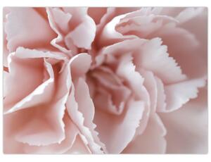 Kép - Virág részlete (70x50 cm)