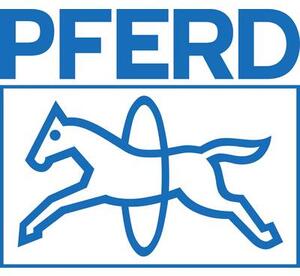 Műhelyreszelő, DIN PF 1132 150 H2 150 mm PFERD 11211157 Reszelő