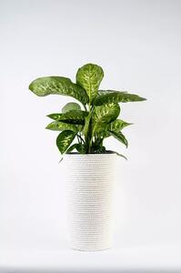 Adoni Doniczka bawełniana biała z wkładem 28x47 cm – ręcznie robiona (adoni-ba-wht-47)