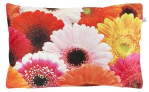 Dekoratív párnahuzat SAMARA GERBERA 30x50 cm, színes