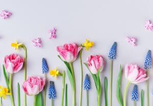 Fotótapéta - Tavaszi virágok (147x102 cm)