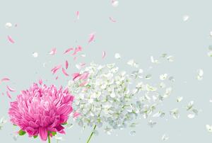 Fotótapéta - Virágok a szélben (147x102 cm)
