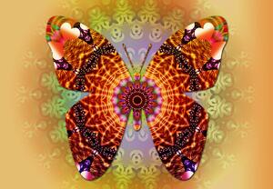 Fotótapéta - Etno pillangó (147x102 cm)