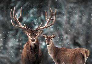 Fotótapéta - Szarvas és őzike egy havas erdőben (147x102 cm)