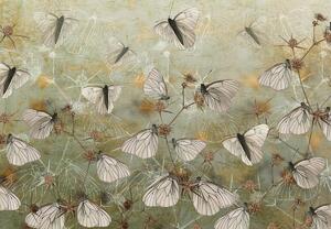 Fotótapéta - Vintage pillangók (147x102 cm)