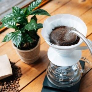 Ceramic coffee dripper Hario V60-02 White