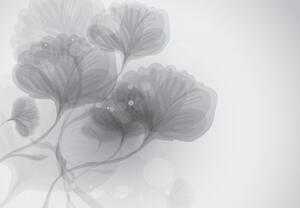 Fotótapéta - Absztrakt virágok (147x102 cm)