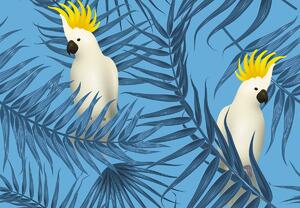 Fotótapéta - Papagájok, kék (147x102 cm)
