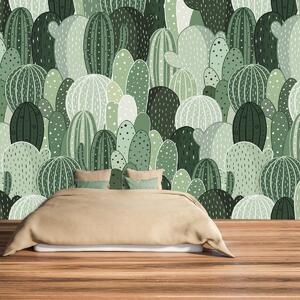 Fotótapéta - Kaktuszparadicsom (147x102 cm)